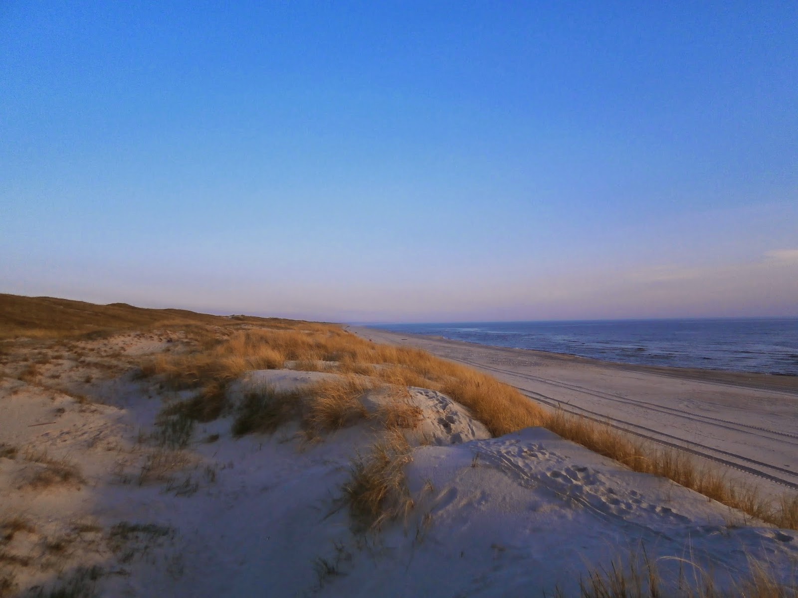 Large plage de sable avec herbes de dune au premier plan, mer calme et ciel clair au crépuscule